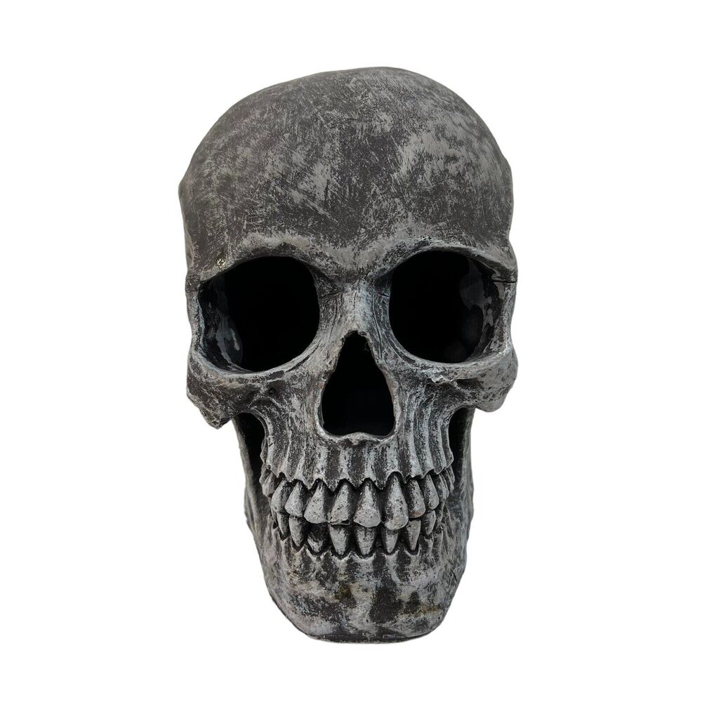 Skull for Halloween Decoration Graveyard Outdoor Grey‎ Hollow Haunted House